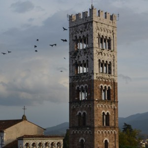 La Cattedrale di Lucca e i suoi tesori