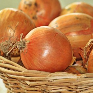 Dall'aglio alla zucca: migliorare la salute con erbe, frutta e verdura
