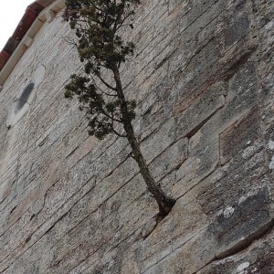L'anello del colle di Monsummano