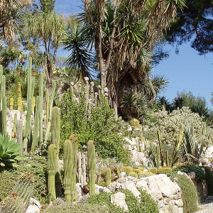 I giardini Hanbury a Ventimiglia e Sanremo