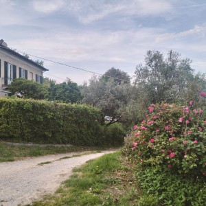 Vino e Armonie