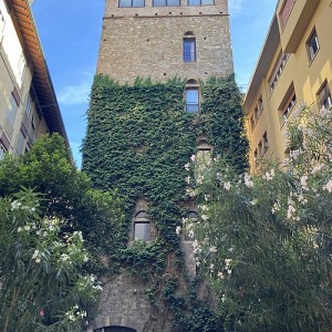 Palazzo Davanzati e le Case Torri a Firenze