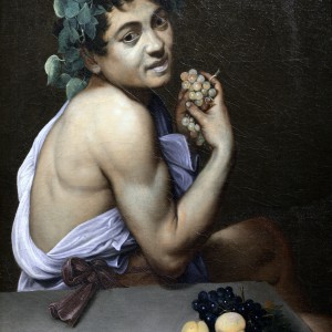 Mantova e la mostra 'Inventare la natura'