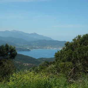 Gita all'isola d'Elba