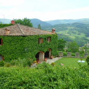 Castelli e Pievi del Casentino