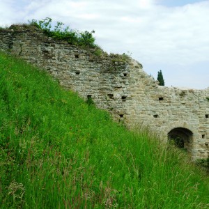 Castelli e Pievi del Casentino