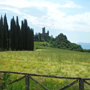 Castelli e Pievi del Casentino