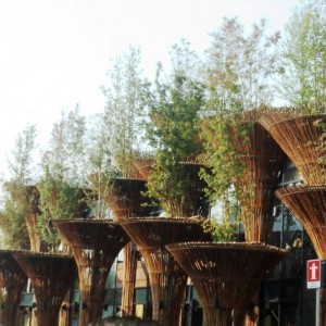 Milano Expo: in gita con Iter Mentis