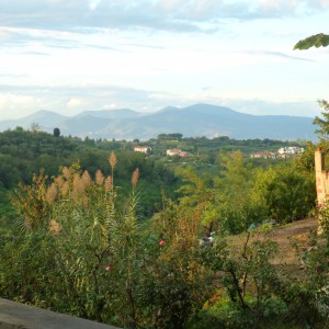 In gita a Lari