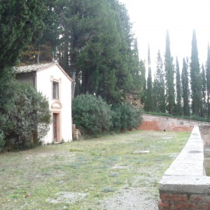 Monte Oliveto e Asciano
