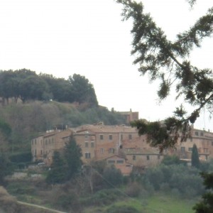 Monte Oliveto e Asciano