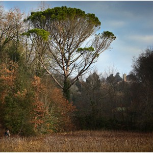 Alla scoperta di Villa Saletta