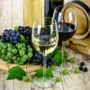 Degustazione (nel mondo dei vini!)