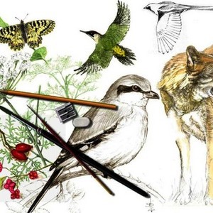 Arte in Natura: disegno ed acquerello