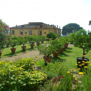 Villa Gamberaia e Settignano