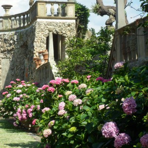 Villa Gamberaia e Settignano