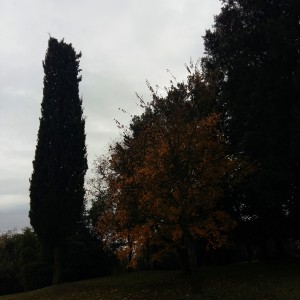 Il Castello di Gallico