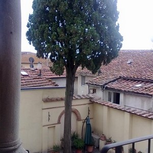 Palazzo della Volta: uscita didattica